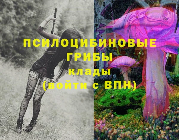 PSILOCYBIN Арсеньев