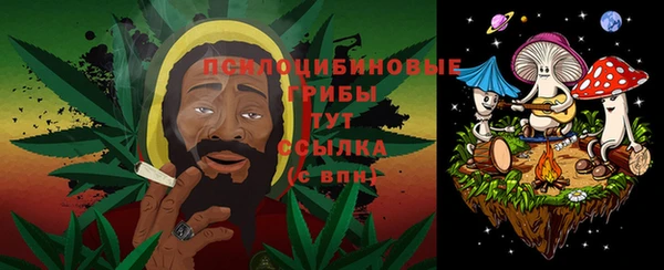ECSTASY Аркадак