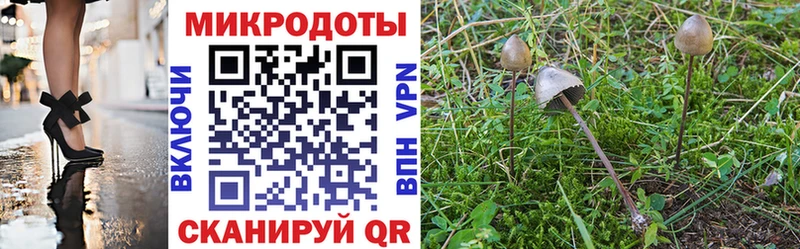 Псилоцибиновые грибы прущие грибы  Можга 