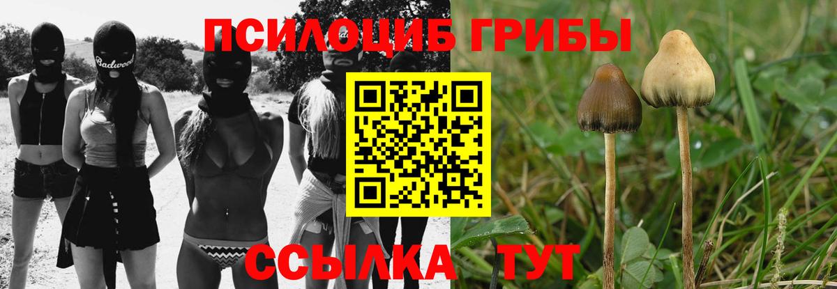 Галлюциногенные грибы прущие грибы Можга